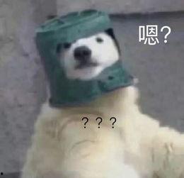 羊了个羊娱乐吃瓜,娱乐吃瓜,揭秘网络爆款游戏背后的故事